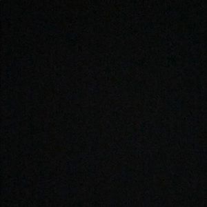 Meet your Posher, Daisy